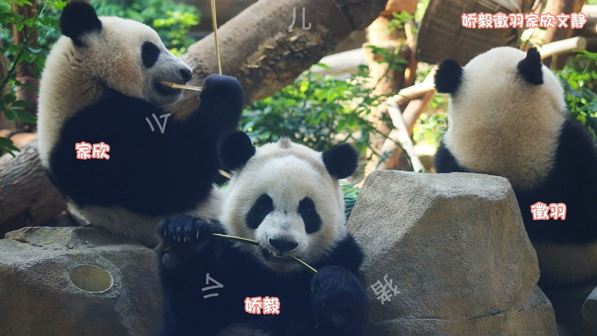 星汉仁辉